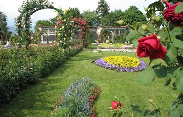 villa pallavicino.jpg
